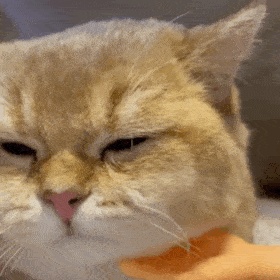  聊天表情包gif动图可爱表情包