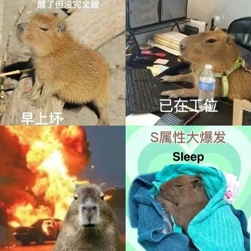 一张扑克脸,怎么变成了互联网顶流 一张扑克脸,怎么变成了互联网顶流