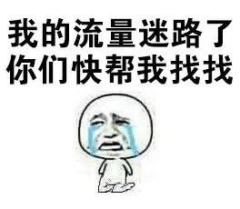  哭有什么用呢流泪猫咪