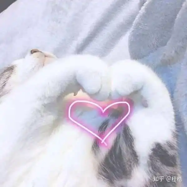 有哪些甜甜的百合之间的故事或者表白时的一些故事 有哪些甜甜的百合之间的故事或者表白时的一些故事