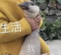  什么多大伙食费交了5000刀一日三餐吃不饱