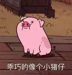 我也想你表情包脑动力