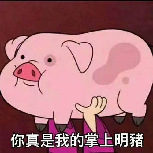  知否知否,还为年货发愁