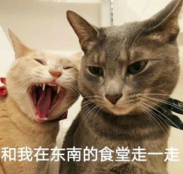  叮超级玛丽学校面试须知请查收