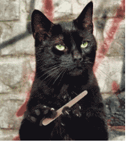 咆哮表情包gif图片别说