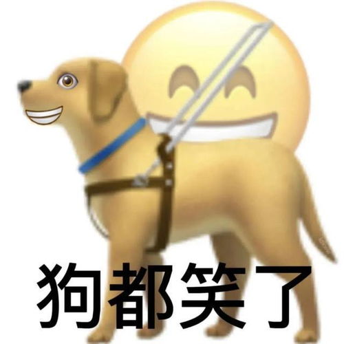  美女嫁给我表情包