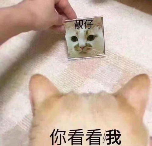  给见组的一封感谢信