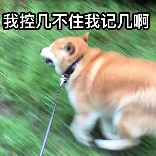 我的收藏 我的收藏