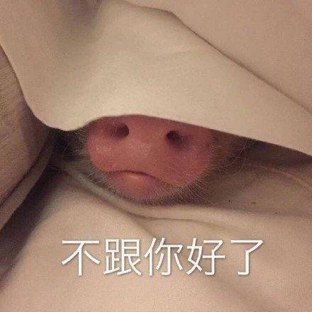  可爱表情包拿图片宝贝,我爱你,每天都想对你说
