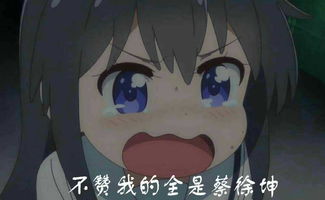  有人想看演习配队思路的攻略嘛
