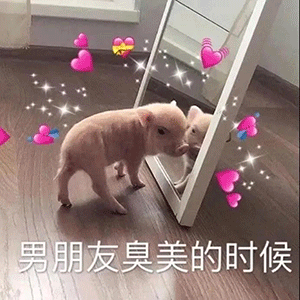 40张沙雕表情包你居然馋我身子,小哥哥进我的圈套 40张沙雕表情包你居然馋我身子,小哥哥进我的圈套