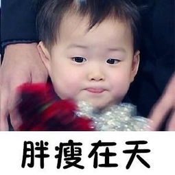 美丑有命胖瘦在天表情包