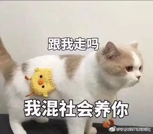  今天抢到了浦发的天添盈增利1号
