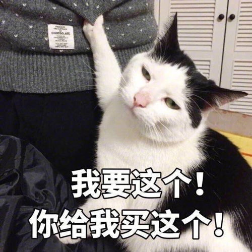 沙雕表情包l早上好读书人