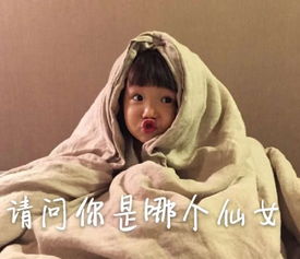  撩汉表情包请问你是那个仙女网友好像谁不是个小可爱似的