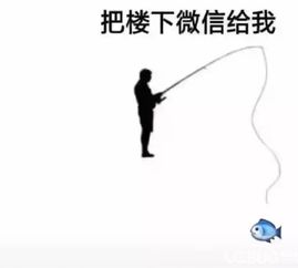  抖音钓鱼把楼下微信给我把楼上微信给我图片分享