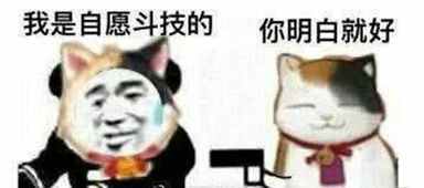来一份瑟图表情包沙雕