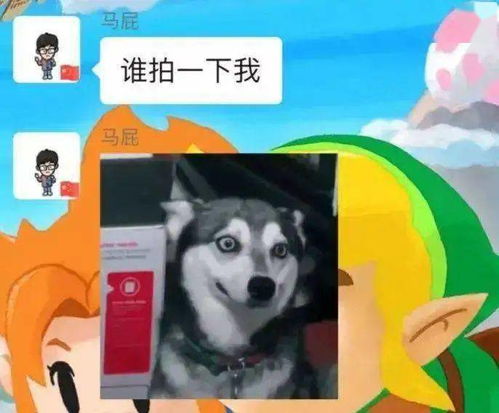  谁拍一下我