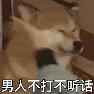 表情包动图男人不打不听话 表情包动图男人不打不听话