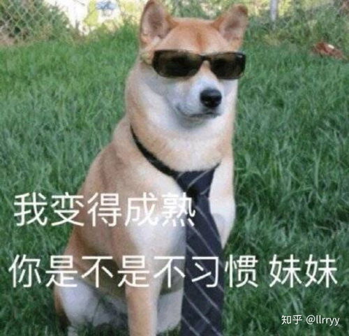 男生叫女生憨憨是什么意思