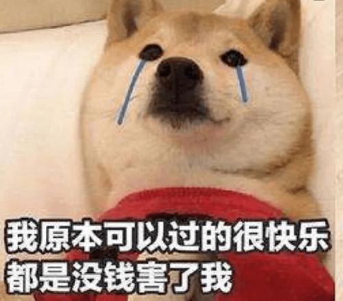  搞笑又有趣幽默的句子,沙雕幽默,适合发朋友圈哦