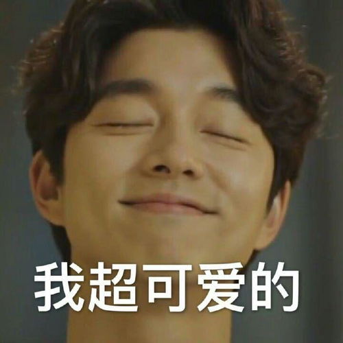  表情包
