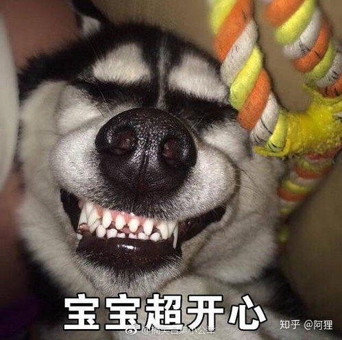  有哪些优质的抖音账号值得推荐