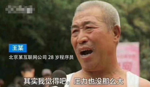孙亚龙秃头表情包程序员
