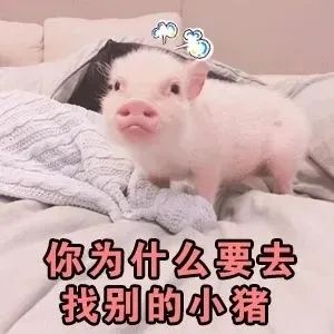  表情包沙雕日常不听你解释