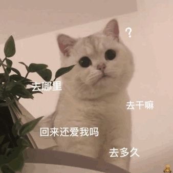  有什么好玩的套路可以套路男朋友吗