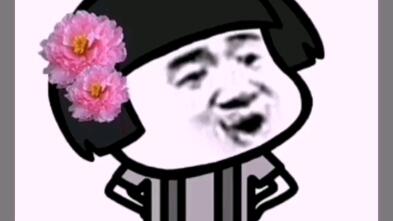  小仙女表情包