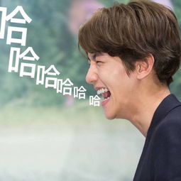  exo表情包边伯贤baekhyun堆糖,美好生活研究所