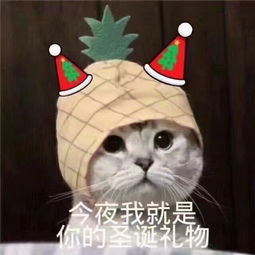 偷偷亲一下表情包松鼠礼