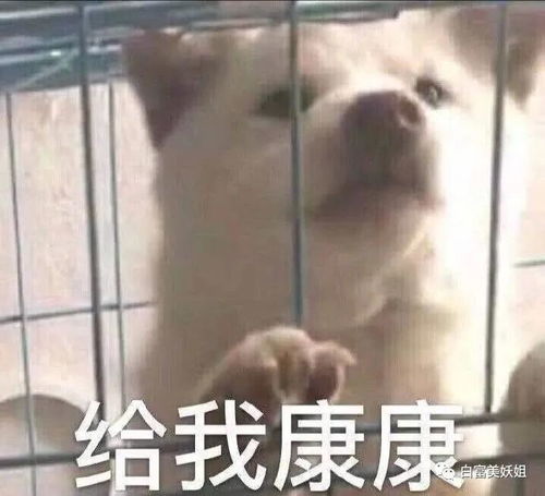  上海15岁富二代背景神秘不可说,王菲女儿都不敢抢她风头