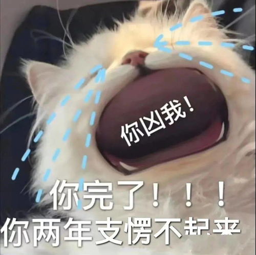  抖音热门搞笑表情包