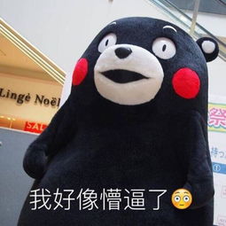  求熊本熊我好像懵逼了的表情包