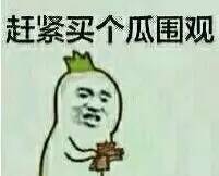  吸猫体质者必看,长成这样的猫,你还吸的动么