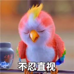  赵丽颖送谢娜的苍梧鸟多少钱哪里可以买