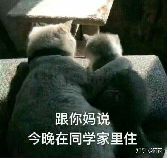 沙雕表情包配搞笑视频凡