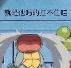  杰尼龟表情第一弹