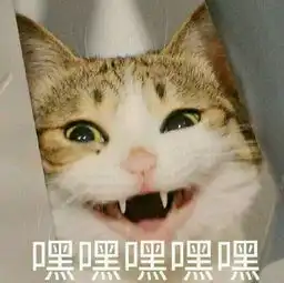 强能量这把霰弹枪怎么有点不一样 强能量这把霰弹枪怎么有点不一样