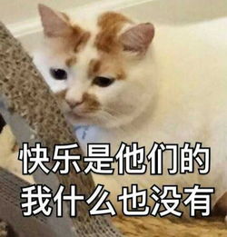  大b神脱口秀新游戏主角满级满装备登场,游戏进程中不停降级掉装备