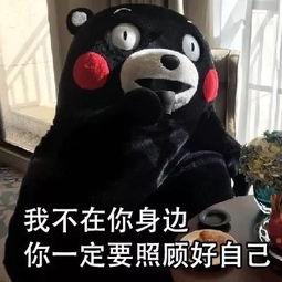 熊本熊表情包晚安我在