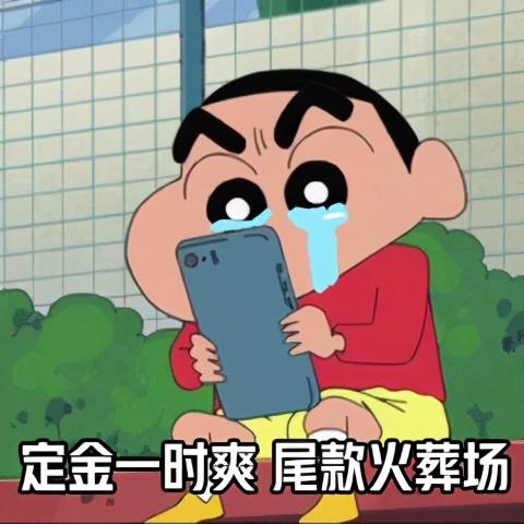  表情包明天就是双十一了,能不能借我一万块,让我过双十一