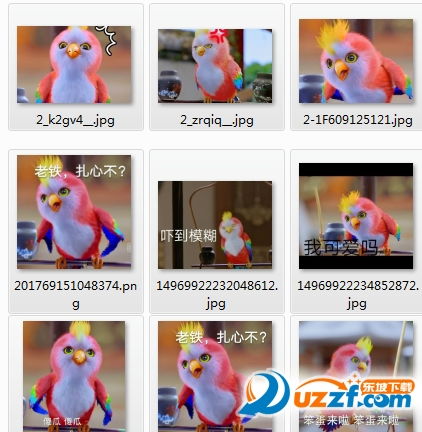  楚乔传宇文玥鹦鹉表情图片下载楚乔传宇文玥鹦鹉表情包完整版