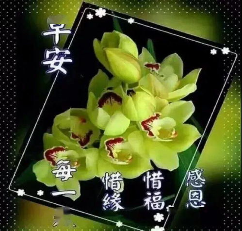  早安问候祝福动态图片表情,暖心的早上好问候语大全