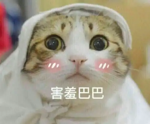 如果地球变的像太阳那么大会如何 如果地球变的像太阳那么大会如何