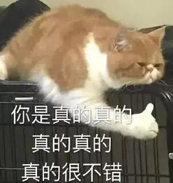 没有人敢在罗永浩面前说自己朋克 没有人敢在罗永浩面前说自己朋克