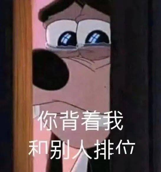 搞笑斗图表情包你背着我和别人排位