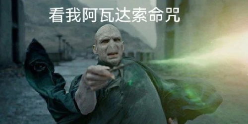  送你阿瓦达索命表情包